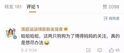 2023年娱乐圈吃瓜合集