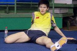 鲍春来资料,羽毛球赛场上的传奇英雄